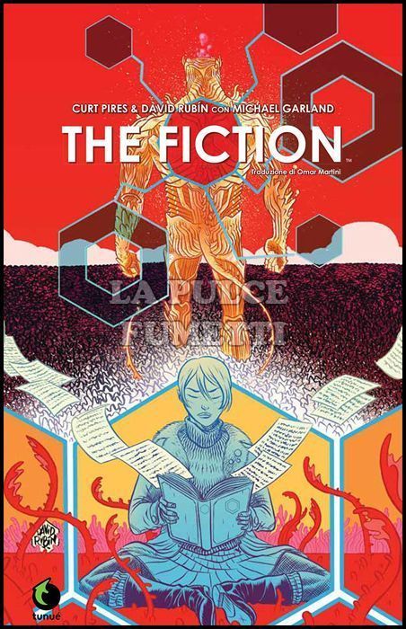 THE FICTION